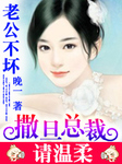 老公不壞：撒旦總裁請溫柔
