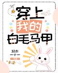 穿上我的白毛馬甲