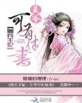 傭兵王妃：王爺可有休書