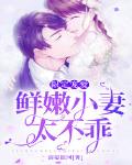 限定寵愛：鮮嫩小妻太不乖