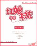 紅娘係統